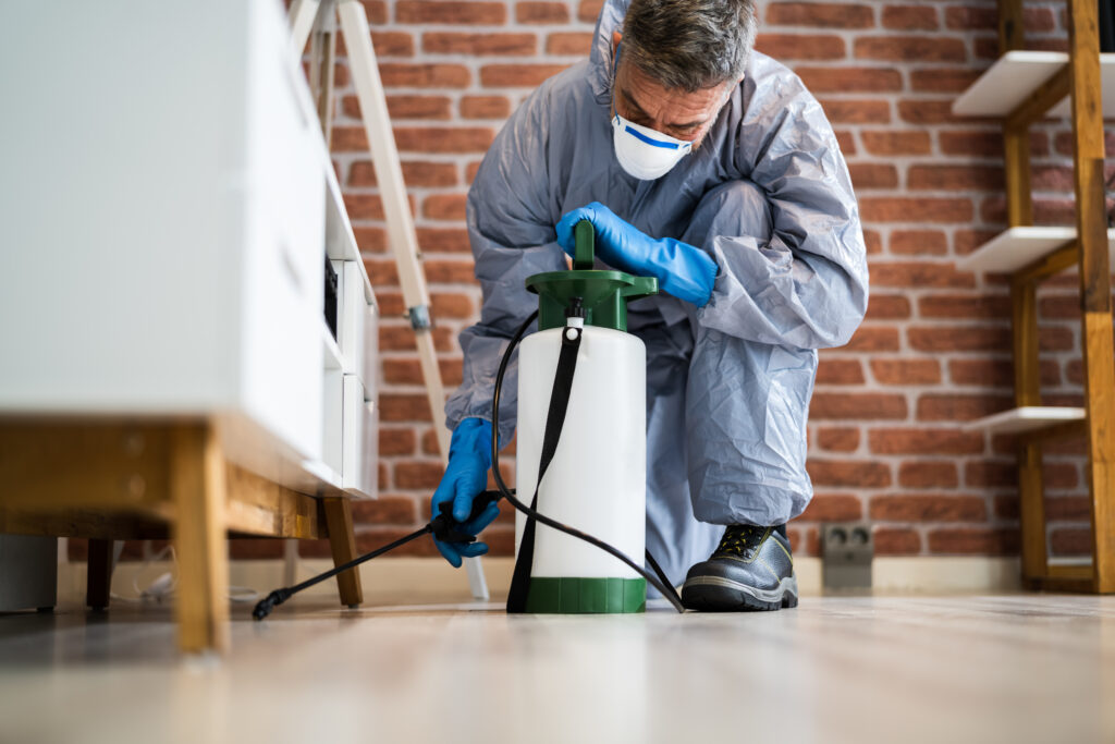 Marysville Spider Control