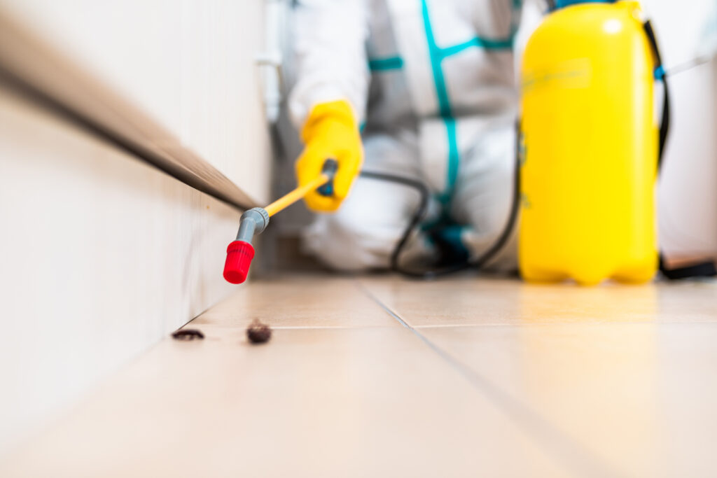 Marysville Cockroach Experts